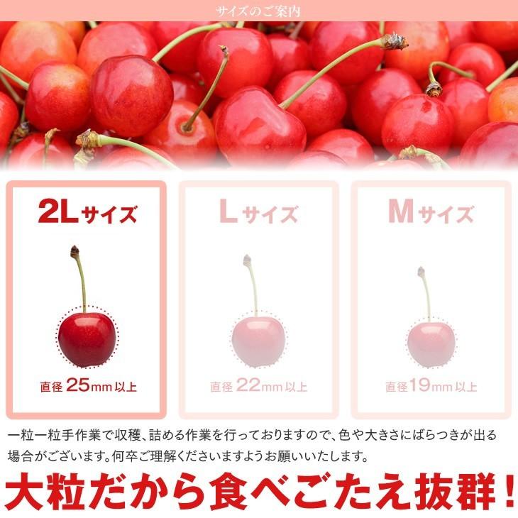母の日 2026 ギフト 送料無料 さくらんぼ 山形県産 佐藤錦 2Lサイズ