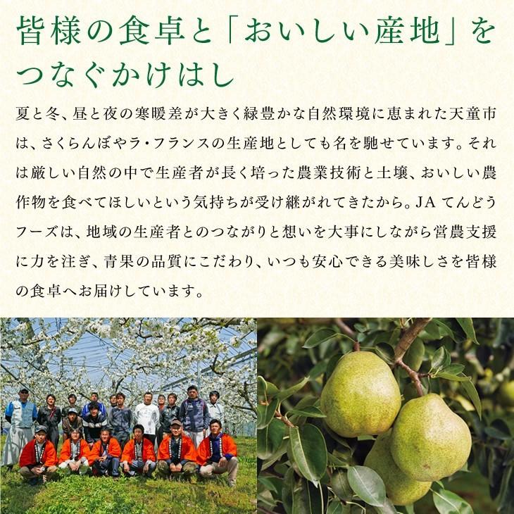 遅れてごめんね母の日 ギフト 2024 さくらんぼ  佐藤錦 L玉 秀品 100g×2 山形県産  ダイヤパック JA 産地直送 mc02｜tendofoods｜14