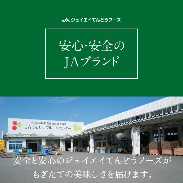 予約商品 さくらんぼ 佐藤錦 ギフト L玉 秀品 500g×2 山形県産 バラパック 送料無料(一部地域を除く) rc09｜tendofoods｜13