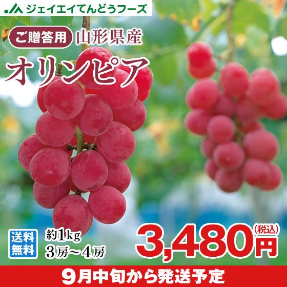 ぶどう ギフト オリンピア 約1kg （3〜4房） 山形県産 秀品 葡萄 贈答