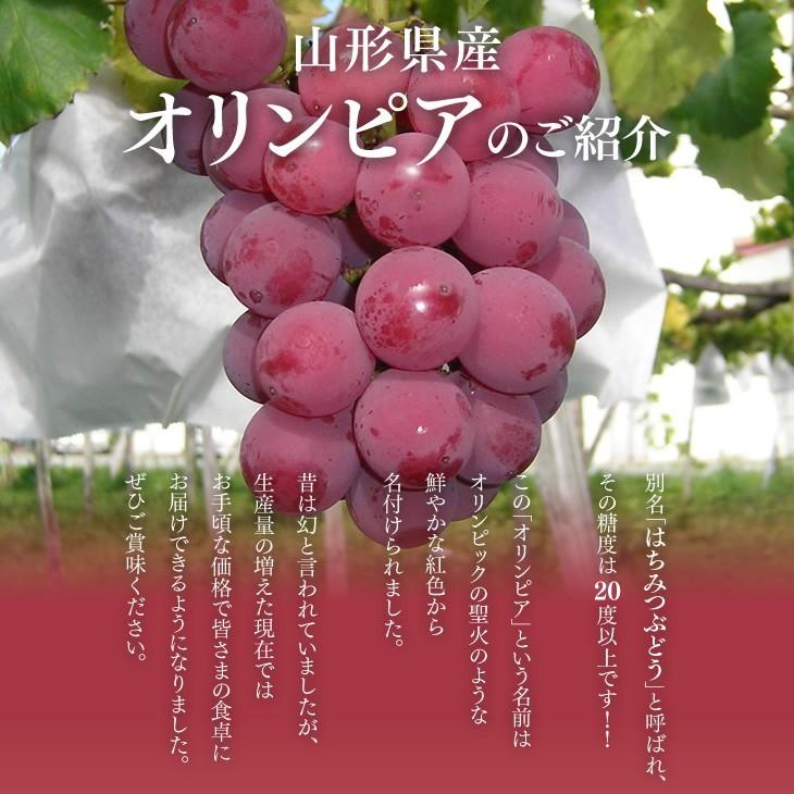 ぶどう ギフト オリンピア 約1kg （3〜4房） 山形県産 秀品 葡萄 贈答