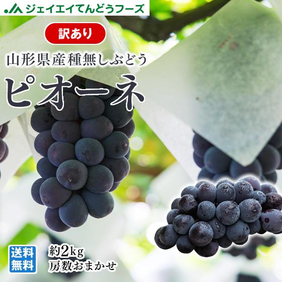 ぶどう 訳あり フルーツ 種なし ピオーネ 約2kg 山形県産 ご自宅用