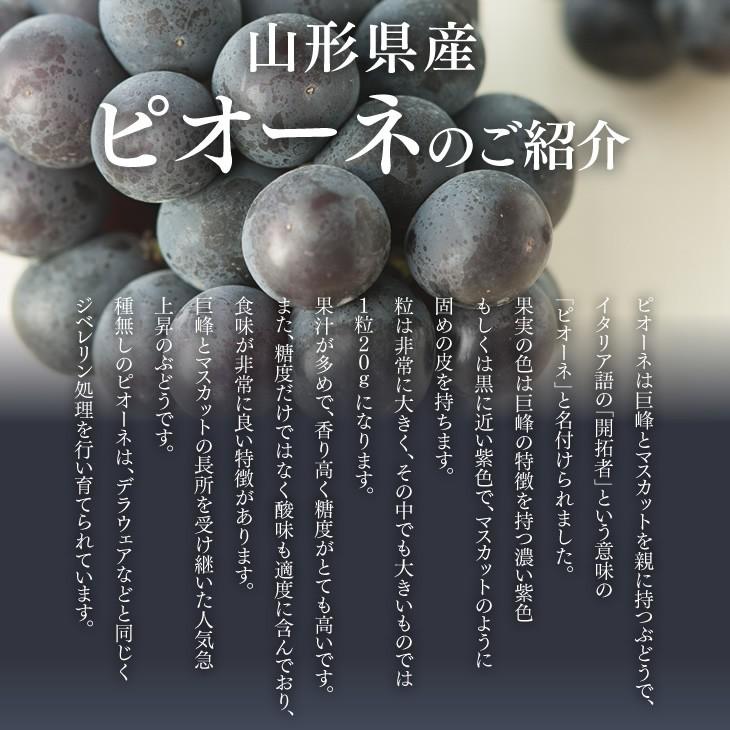 ぶどう 訳あり フルーツ 種なし ピオーネ 約2kg 山形県産 ご自宅用