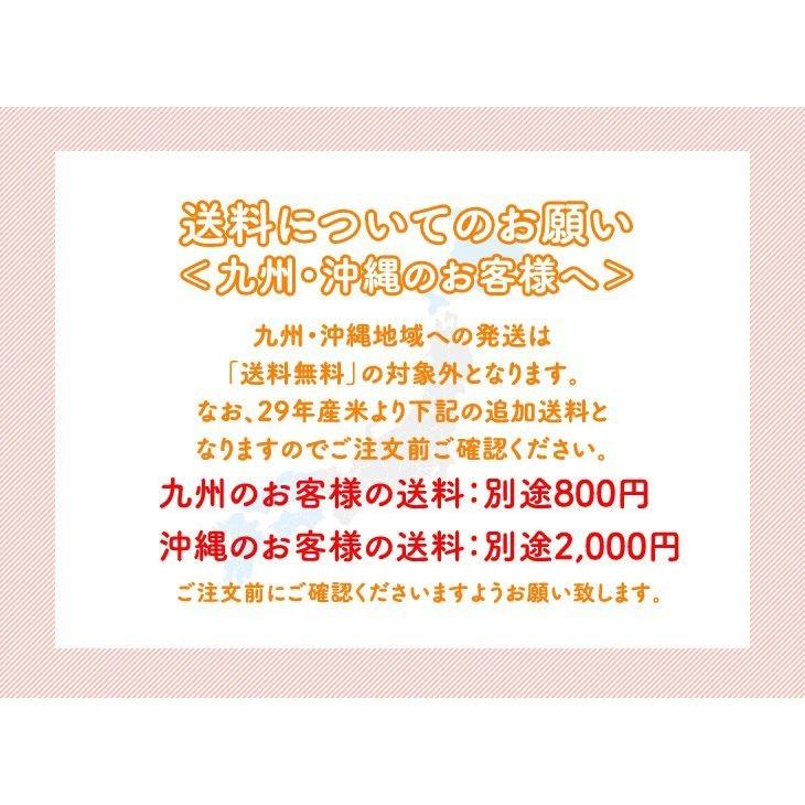 お米 20kg (5kg×4袋) はえぬき 山形県産 令和5年産 精米 お米 rhn2005｜tendofoods｜05