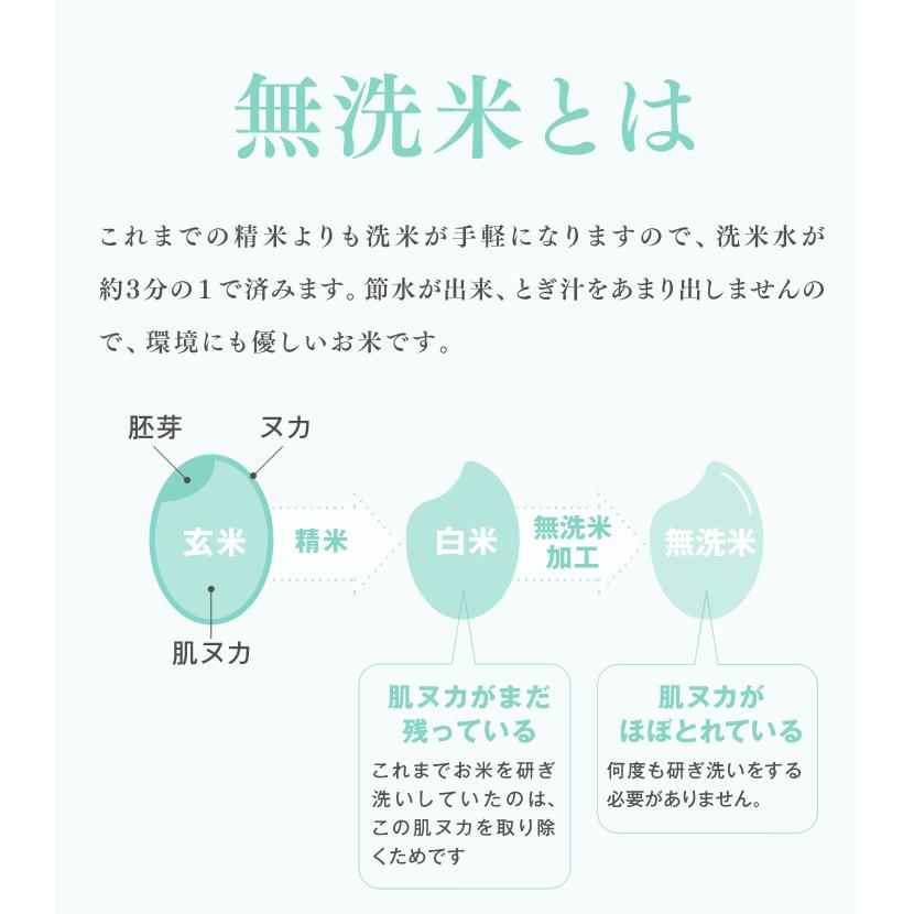 無洗米 米 お米 令和5年産 山形県産 はえぬき 10kg 無洗米（5kg×2袋）rhm1005｜tendofoods｜03