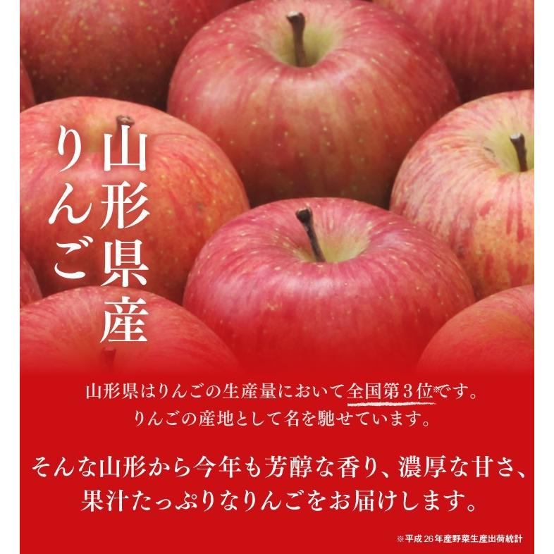 りんご ギフト 秀品 山形県産 サンふじ 約3kg (8〜14玉)  リンゴ 林檎  (一部地域別途送料） 順次出荷 ap17｜tendofoods｜03