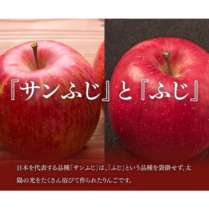 りんご ギフト 秀品 山形県産 サンふじ 約3kg (8〜14玉) リンゴ 林檎