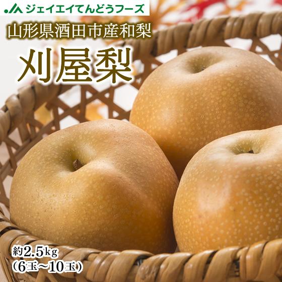 訳あり 梨 和梨 刈屋梨 約2.5kg 山形県酒田市産 なし 送料無料※一部