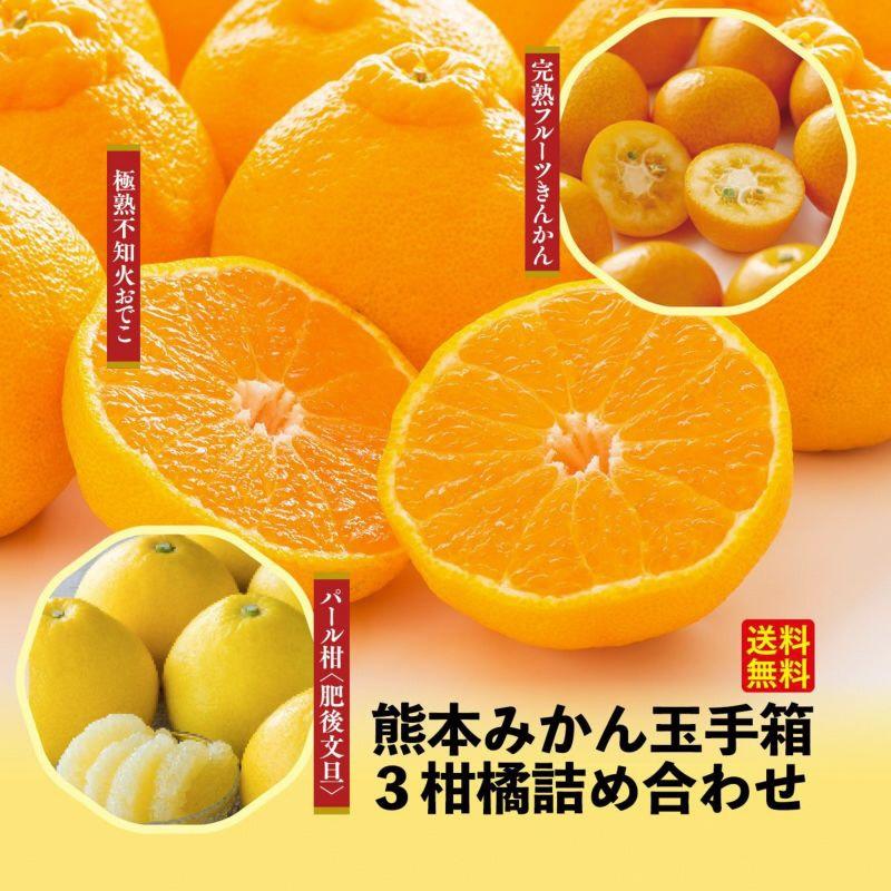 熊本県産 みかんの玉手箱 3種柑橘詰合せ 不知火おでこ パール柑 完熟