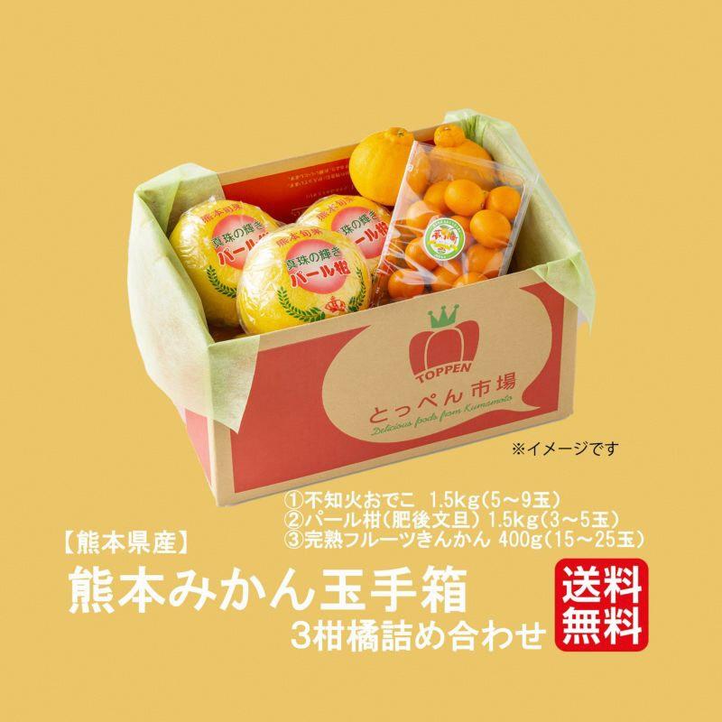 熊本県産 みかんの玉手箱 3種柑橘詰合せ 不知火おでこ パール柑 完熟