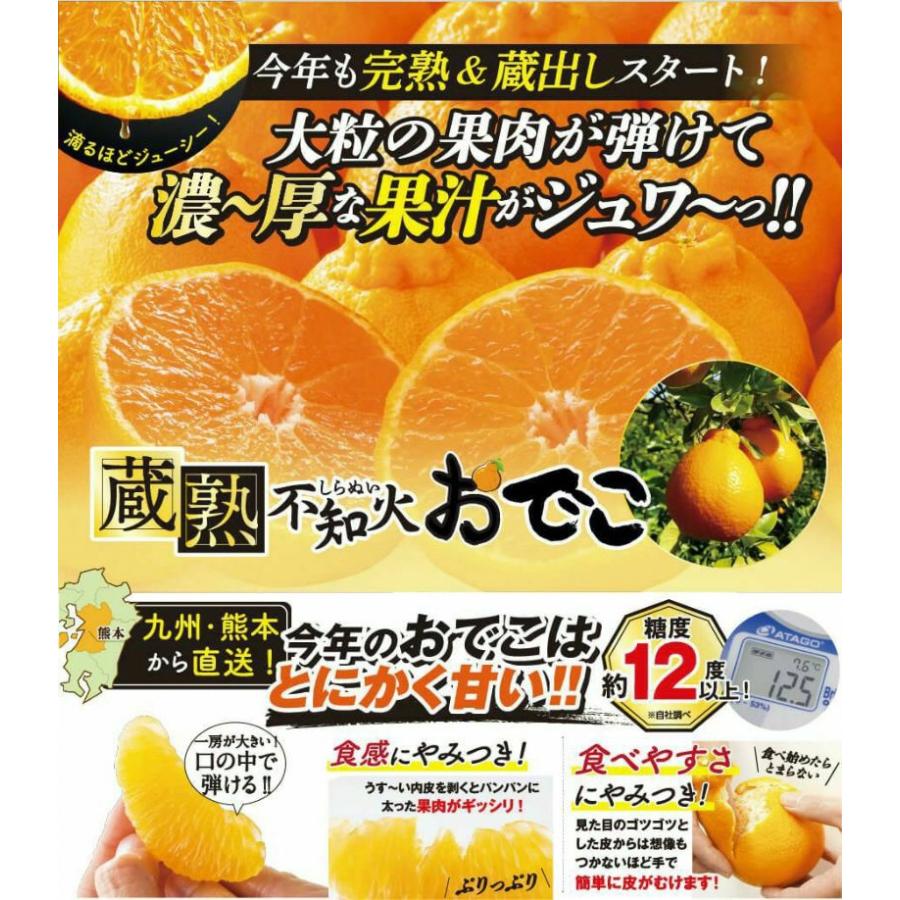 熊本県産 蔵熟不知火おでこ 約2kg（6〜12玉入り 大小混合） ※一部地域