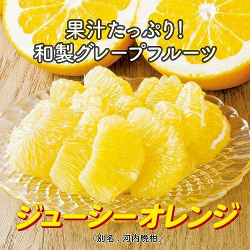 ヤミつき柑橘！ジューシーオレンジ（河内晩柑）約4kg（10〜15玉） : JA