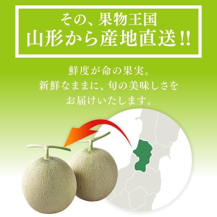 メロン お中元 ギフト 山形県庄内産 砂丘メロン 青肉 約2.5kg （2玉）贈答品　御中元｜tendofoods｜05