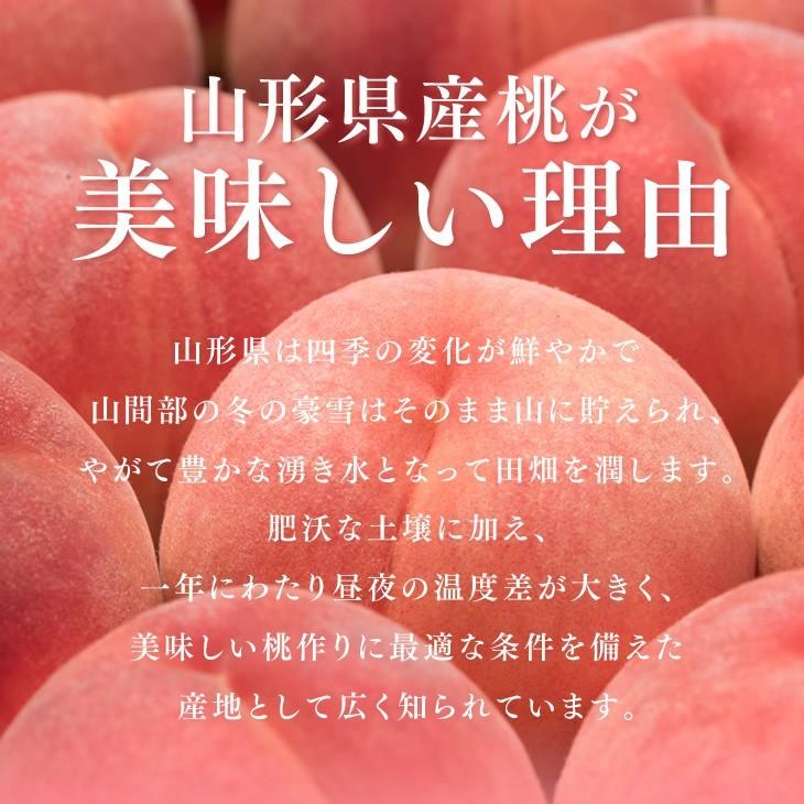 桃  ギフト　あかつき　白桃　約3kg（8〜14玉） 秀品 山形県産  peach もも ギフト pc01｜tendofoods｜05
