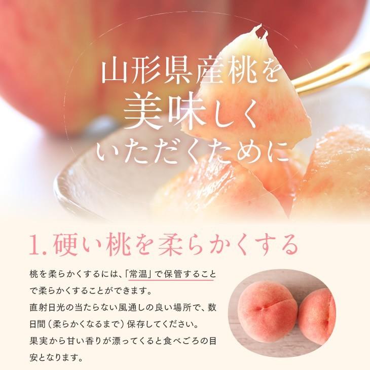 桃  ギフト　あかつき　白桃　約3kg（8〜14玉） 秀品 山形県産  peach もも ギフト pc01｜tendofoods｜09