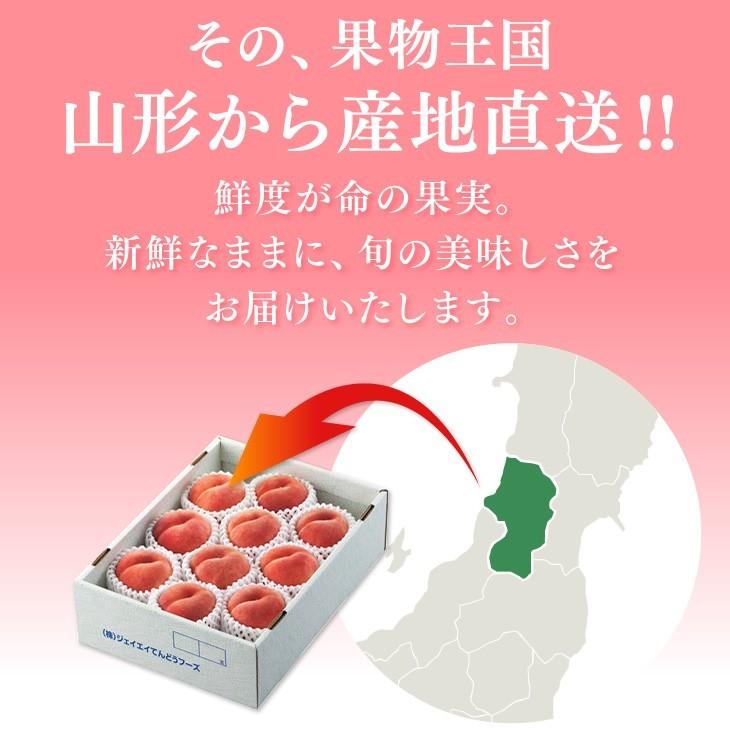 予約商品  桃 川中島白桃 約5kg （12〜20玉） 秀品 山形県産 もも 贈答 pc04｜tendofoods｜06