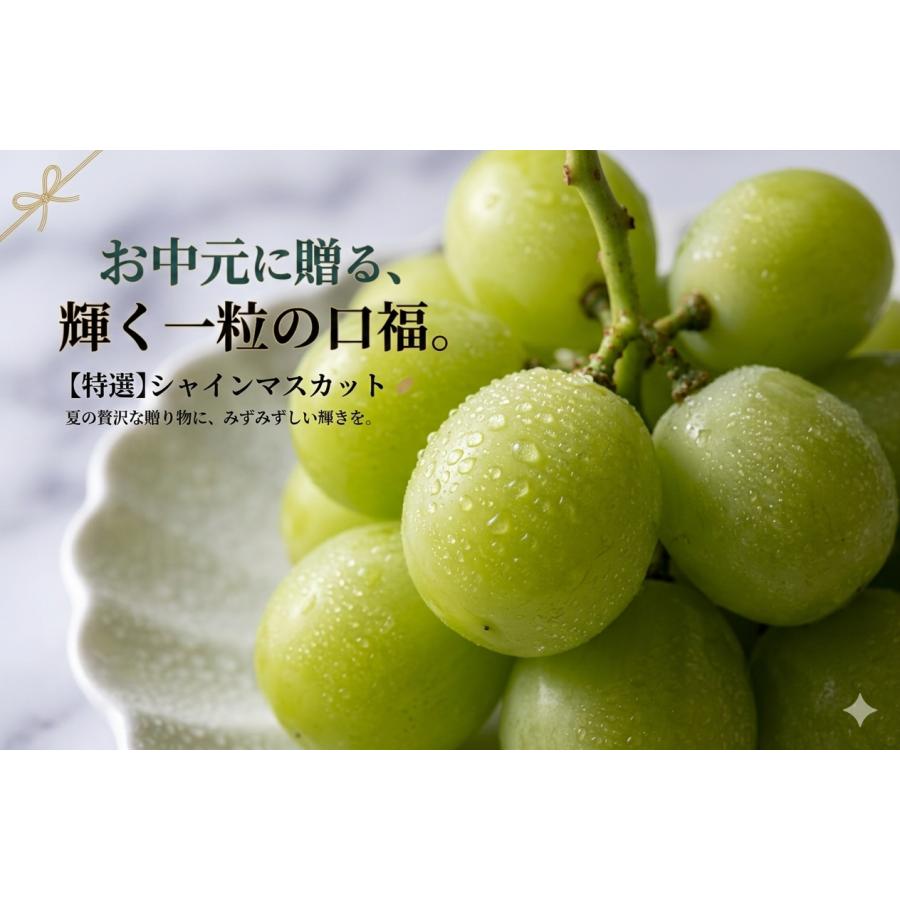 お中元 ギフト 夏 ぶどう シャインマスカット 約1kg(500g×2房) 長野県