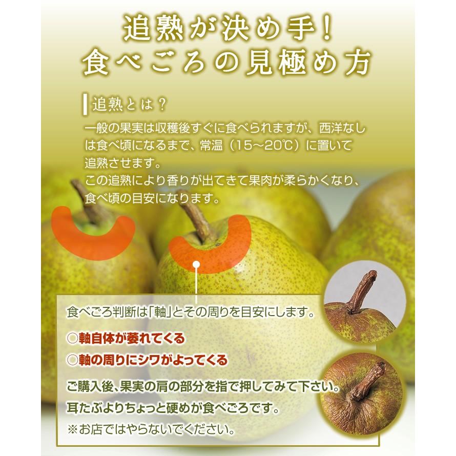 フルーツ ギフト 山形県産 ラ・フランス＆サンふじ （ラフランス4玉・サンふじ6玉） 送料無料 （一部地域は別途送料） |  | 03