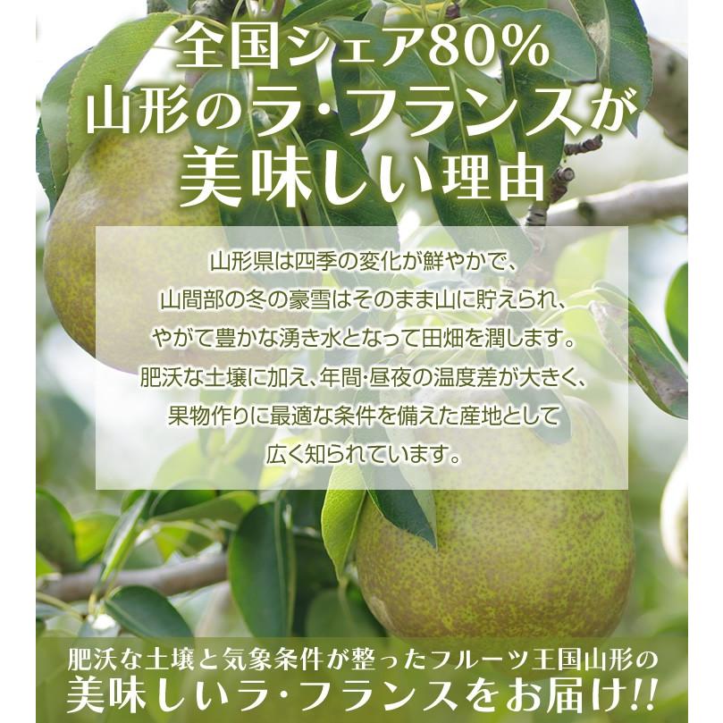 フルーツ ギフト 山形県産 ラ・フランス＆サンふじ （ラフランス4玉・サンふじ6玉） 送料無料 （一部地域は別途送料） |  | 04