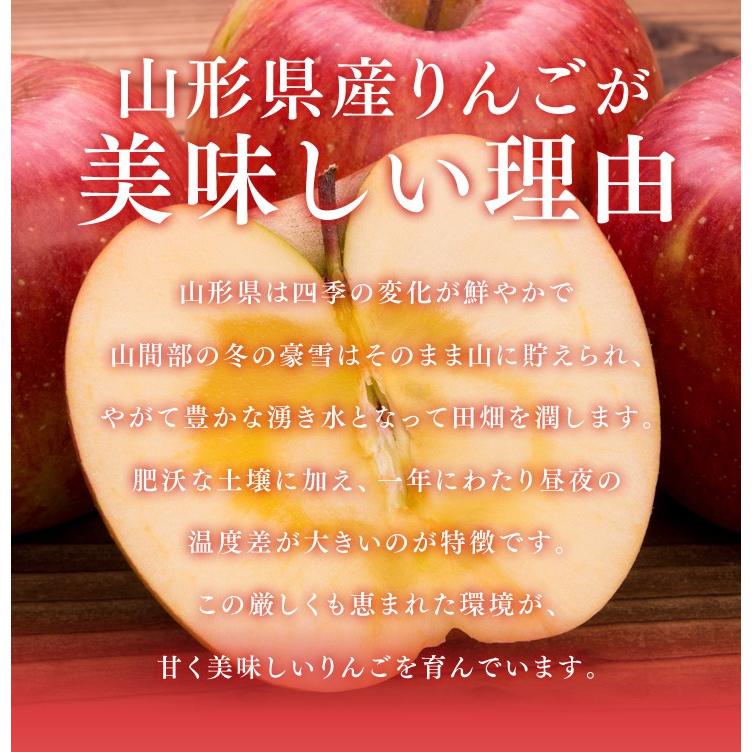 フルーツ ギフト 山形県産 ラ・フランス＆サンふじ （ラフランス4玉・サンふじ6玉） 送料無料 （一部地域は別途送料） |  | 06