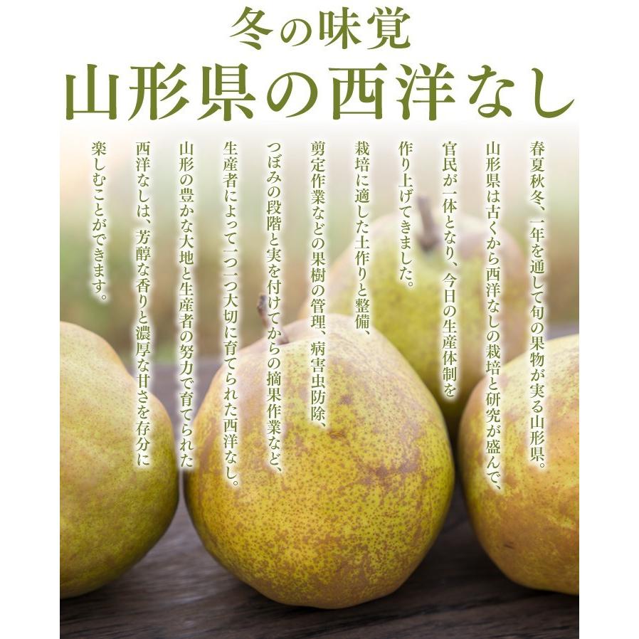 秀品 ギフト 洋なし 品種おまかせ 山形県産 約３kg 西洋なし n00｜tendofoods｜02