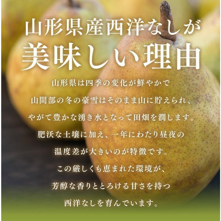 秀品 ギフト 洋なし 品種おまかせ 山形県産 約３kg 西洋なし n00｜tendofoods｜03