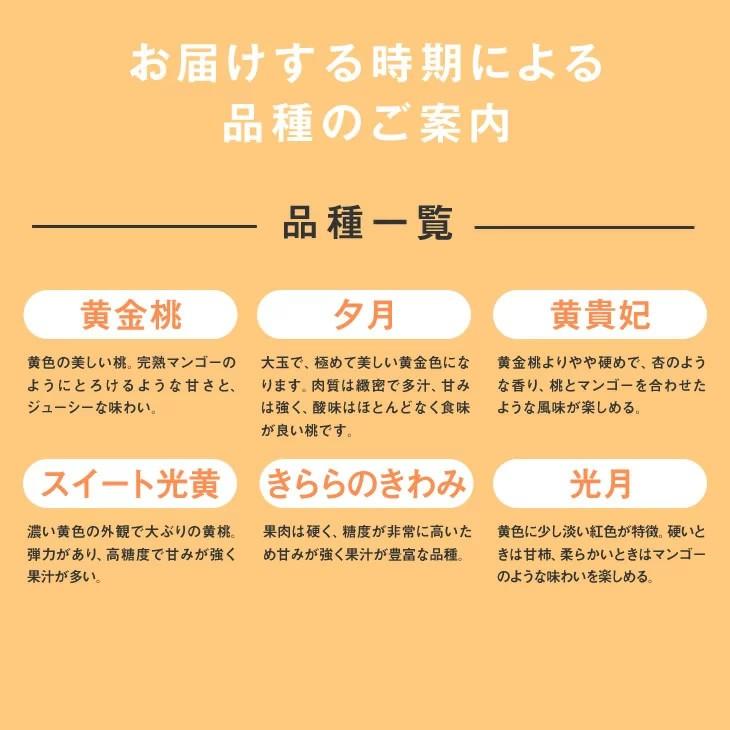 秀品 黄桃 約3kg （8〜14玉）桃 peach ギフト 品種おまかせ 山形県産 桃 贈答｜tendofoods｜04