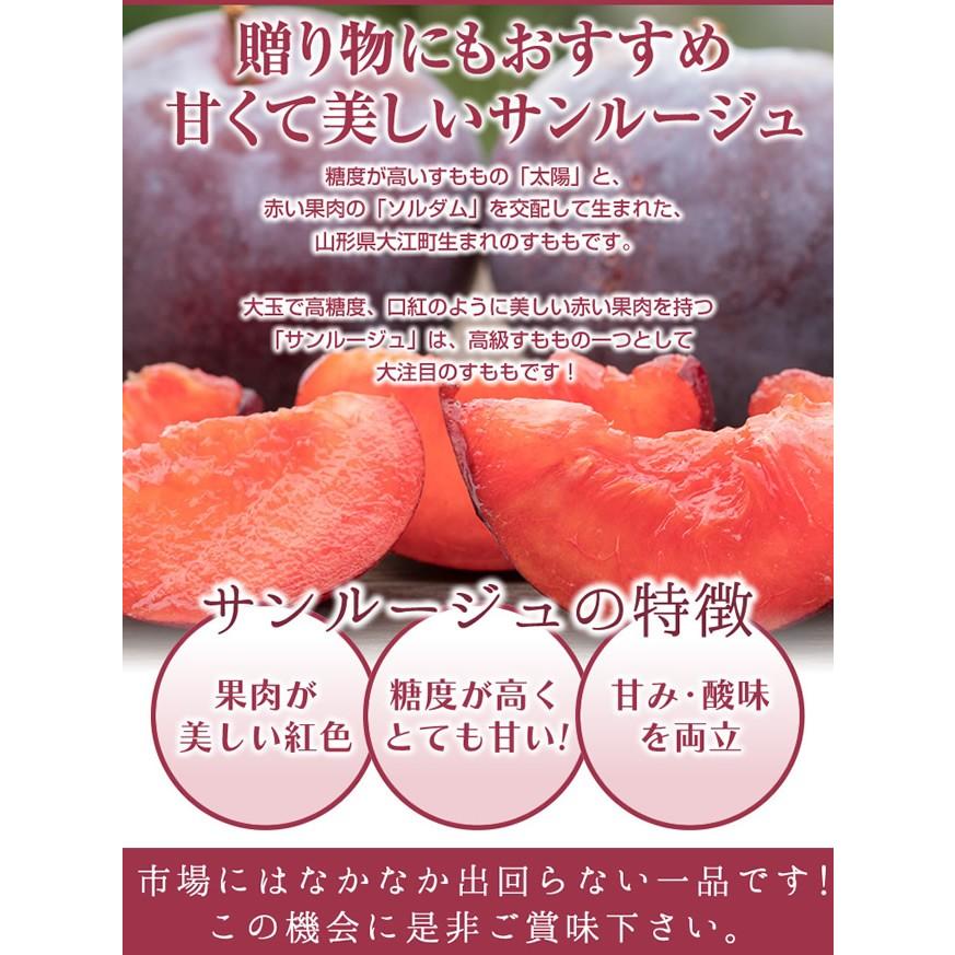 すもも ギフト プラム 『サンルージュ』 約1.2kg （玉数おまかせ） 秀