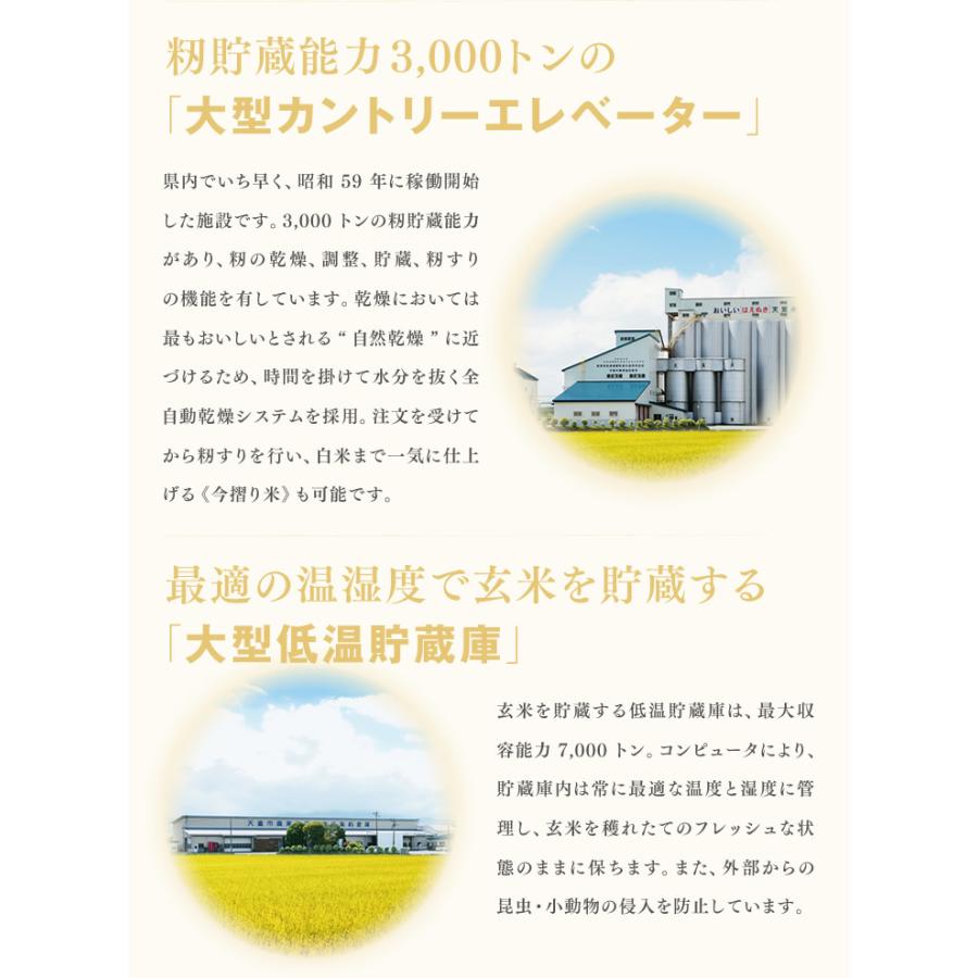 米 お米 里蔵米ブレンド米 国産複数年産米使用 10kg（10kg×1袋）生活 