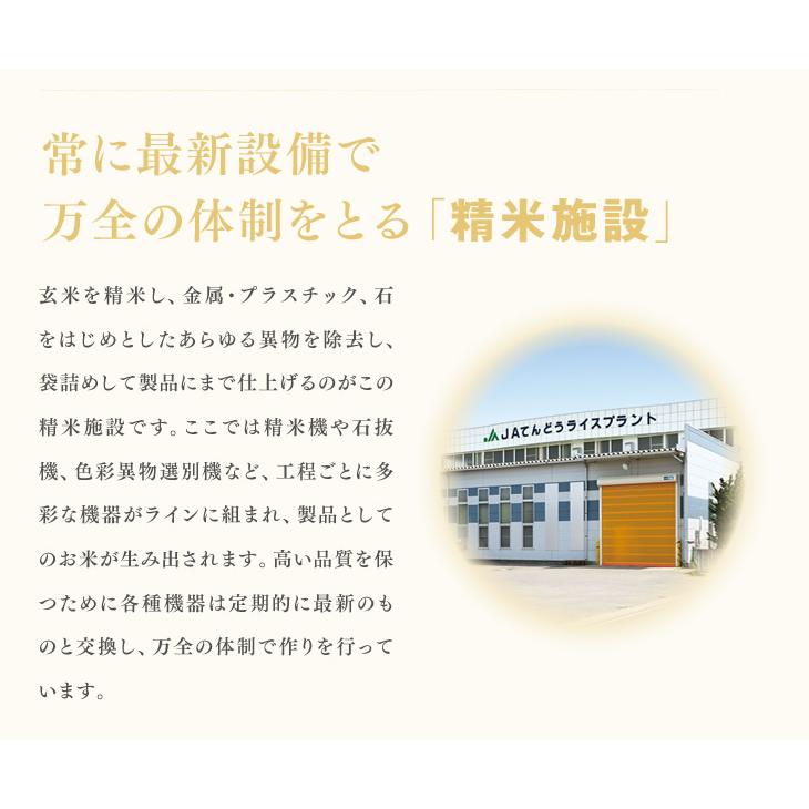 米 お米 里蔵米ブレンド米 国産複数年産米使用 10kg（10kg×1袋）生活