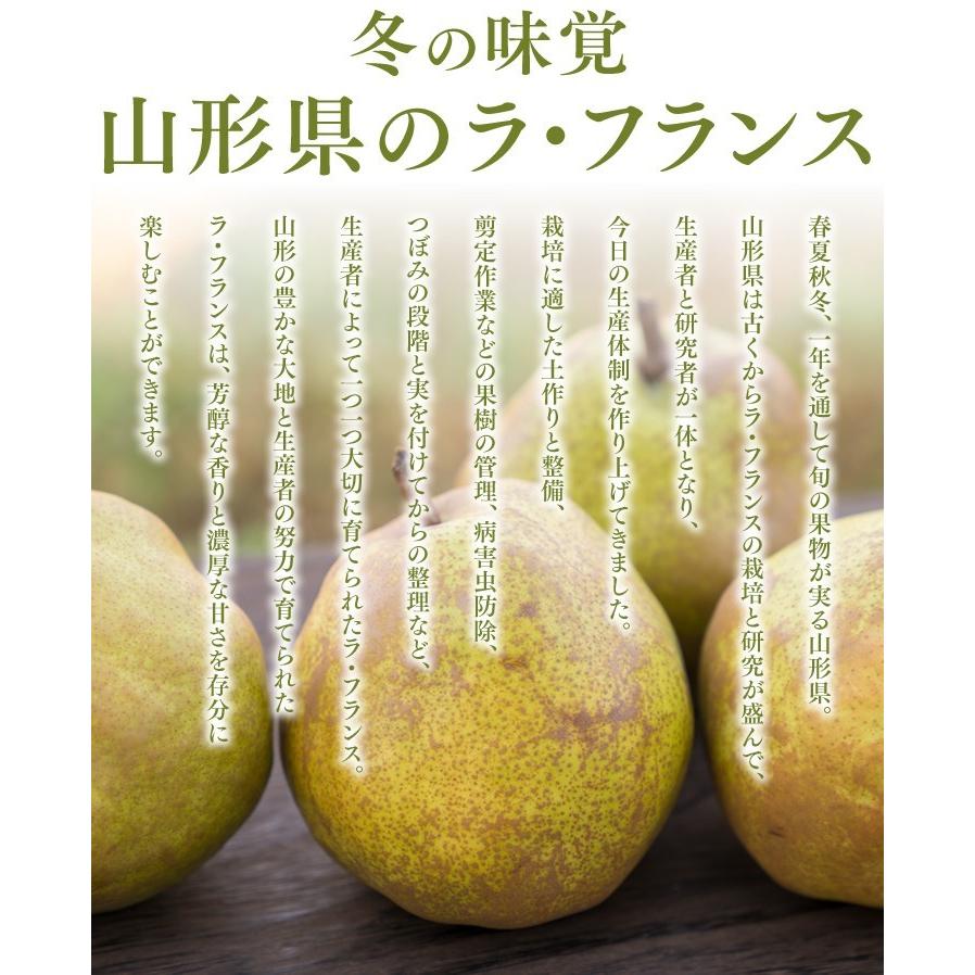 ギフト 希少品 山形県天童産 スーパー ラ・フランス 約5kg ラフランス