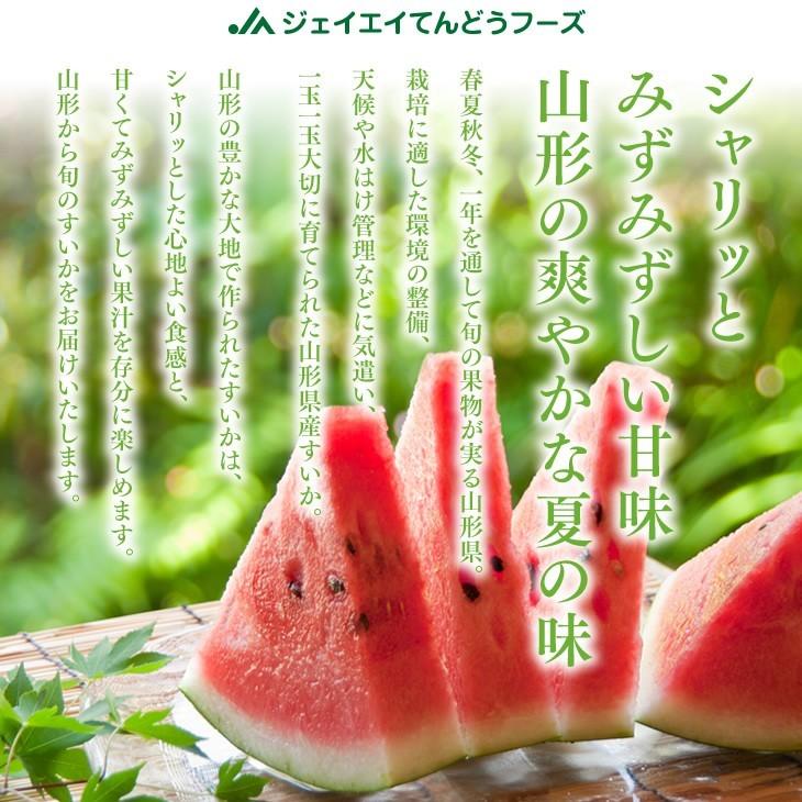 爆買 お中元 すいか スイカ 山形県産 特大 6L (1玉）御中元 wm03 : JA