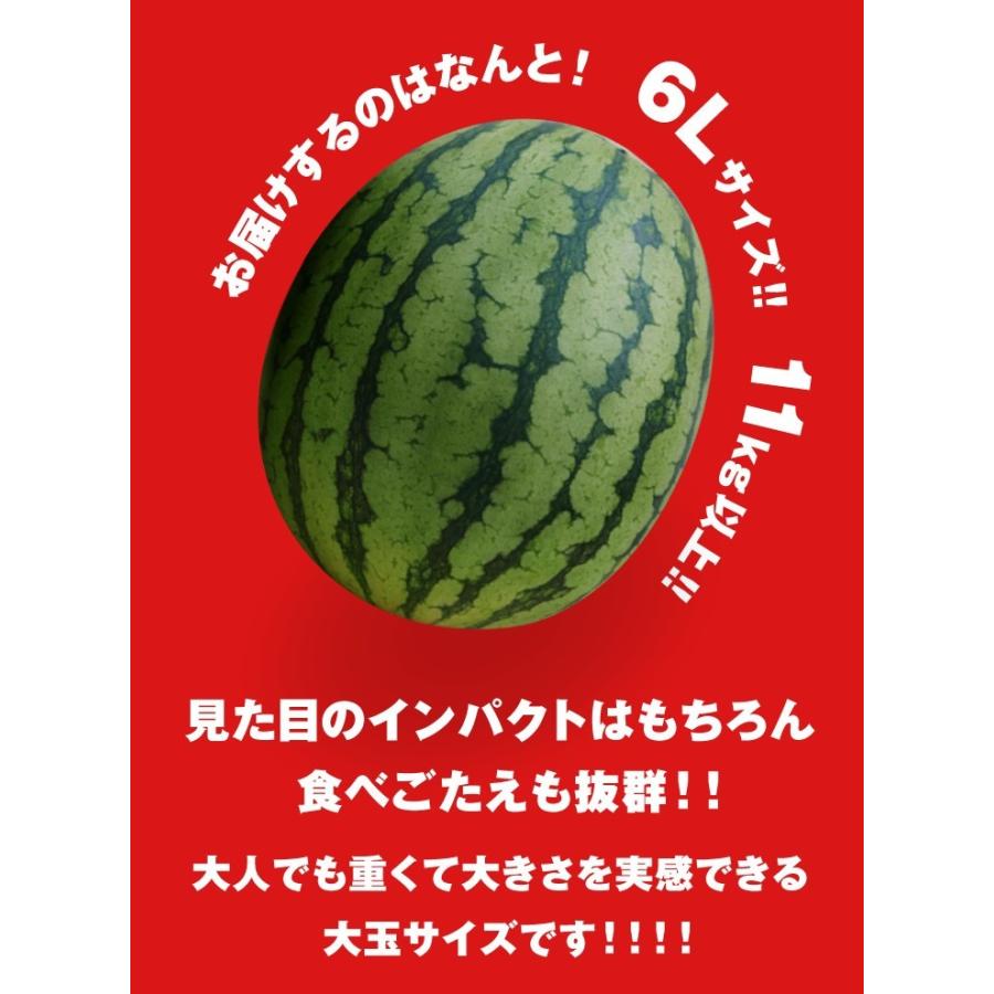 爆買 お中元 すいか スイカ 山形県産 特大 6L (1玉）御中元 wm03 : JA