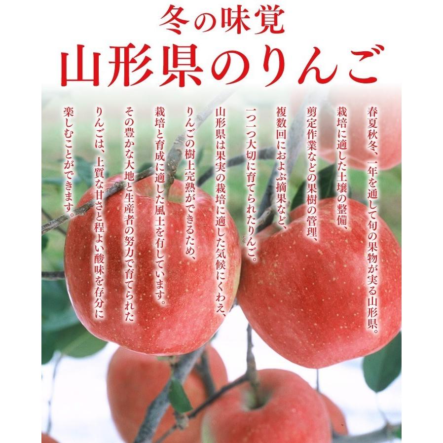 りんご 訳あり 約10kg リンゴ ご自宅用 山形県産 林檎 山形 フードロス 産地直送 (一部地域別途送料) ap13｜tendofoods｜02