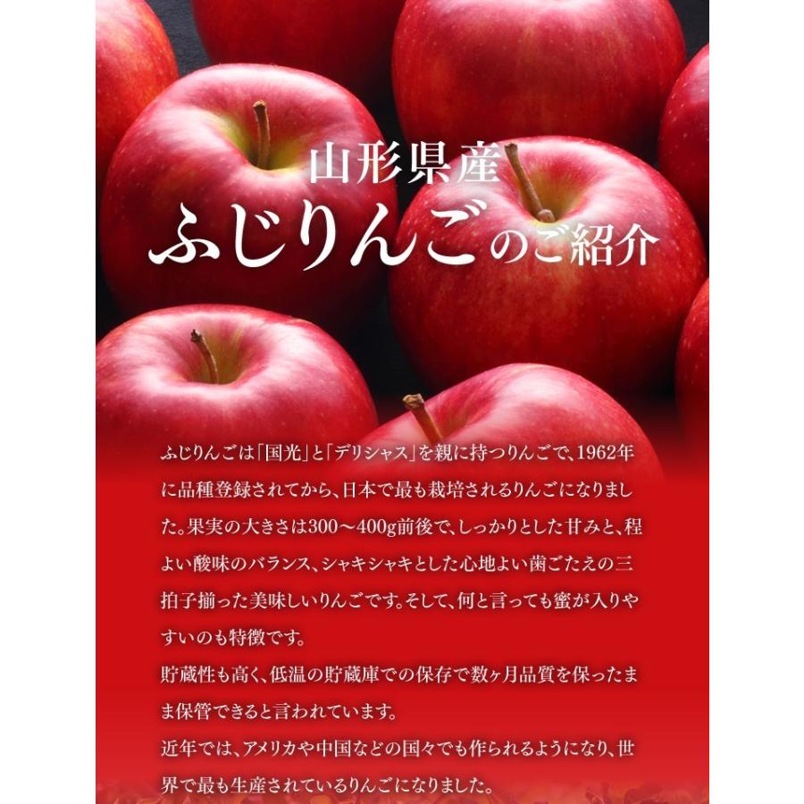 りんご 訳あり サンふじ リンゴ 約5kg 糖度13度以上保証 ご自宅用 山形県産 林檎 山形 送料無料(一部地域別途送料)｜tendofoods｜04