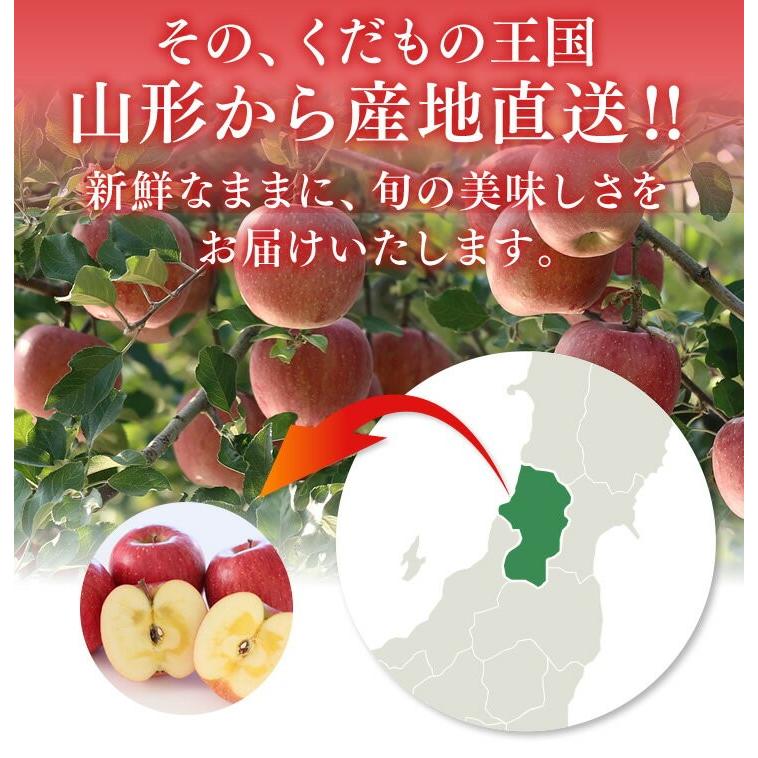 りんご 訳ありサンふじ 約5kg リンゴ ご自宅用 山形県産 林檎 山形 (一部地域別途送料) ap12 ※順次発送｜tendofoods｜05