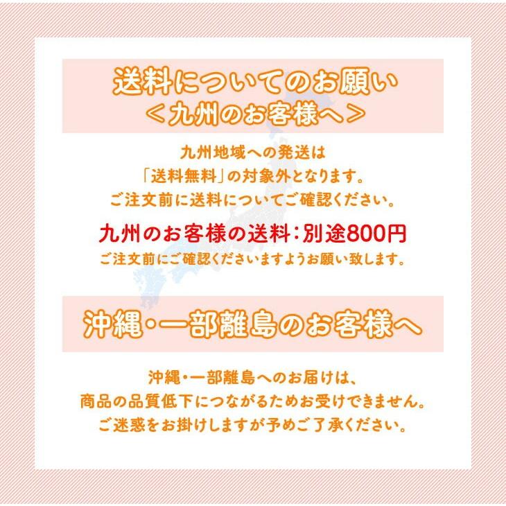 りんご 訳ありサンふじ 約5kg リンゴ ご自宅用 山形県産 林檎 山形 (一部地域別途送料) ap12 ※順次発送｜tendofoods｜06