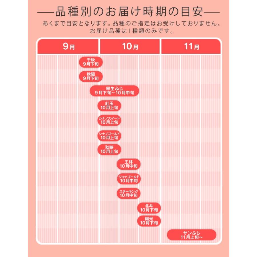 りんご 訳ありサンふじ 約5kg リンゴ ご自宅用 山形県産 林檎 山形 (一部地域別途送料) ap12 ※順次発送｜tendofoods｜07