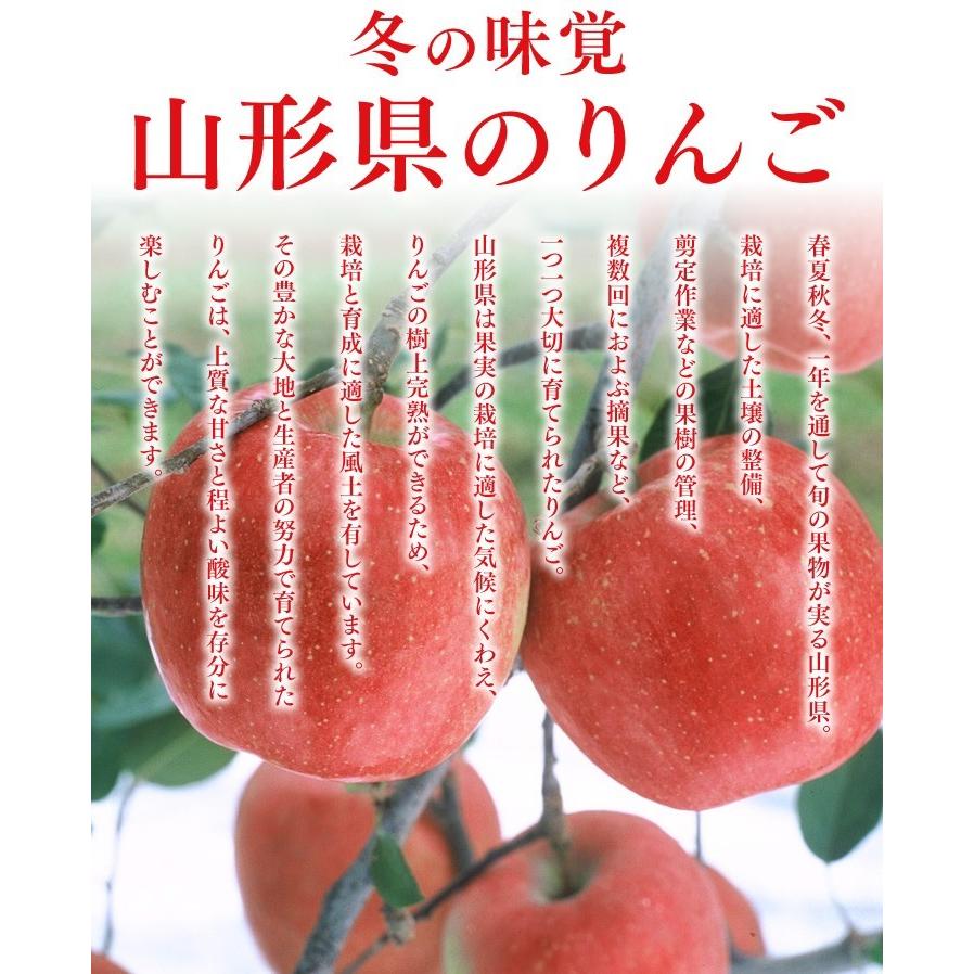 りんご お買い得 優品  サンふじ  約10kg リンゴ ご自宅用 お歳暮 山形県産 林檎 山形 (一部地域別途送料) ap14｜tendofoods｜02