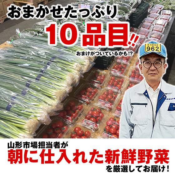 10品目】 山形市場厳選 おまかせ 野菜セット spr17 : JAてんどうフーズ