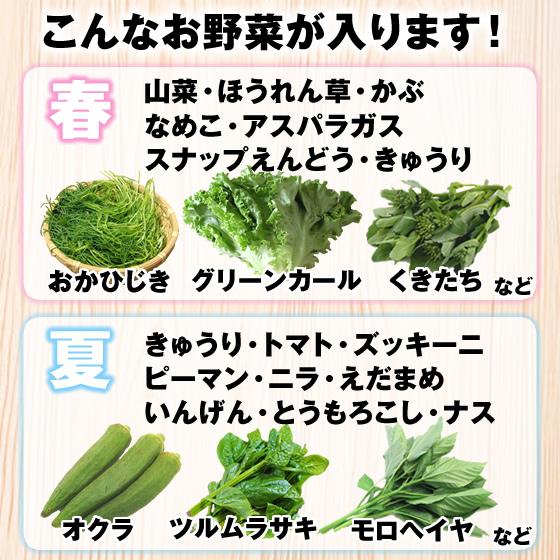 10品目】 山形市場厳選 おまかせ 野菜セット spr17 : JAてんどうフーズ