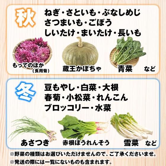 10品目】 山形市場厳選 おまかせ 野菜セット spr17 : JAてんどうフーズ