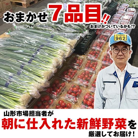 山形市場厳選】 おまかせ 野菜セット 7品目 野菜 爆買 : JAてんどう