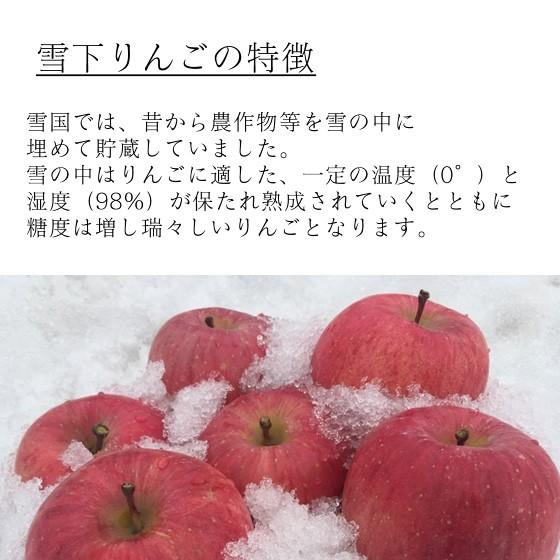 贈答用 秀品 青森県産 雪下りんご 約2kg ※雪の下で熟成させた瑞々しさ 