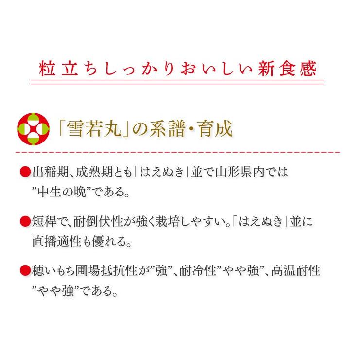 新米 お米 10kg 精米 山形県産 令和7年 雪若丸 10kg（5kg×2袋） 爆買 送料無料 ※一部地域を除く ryy1007 |  | 02