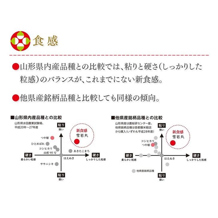 米 お米 20kg 雪若丸 山形県産 令和7年産 精米 送料無料※一部地域を