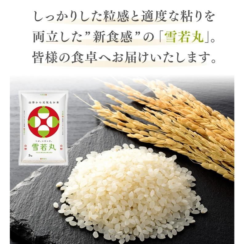 米 お米 20kg 雪若丸 山形県産 令和7年産 精米 送料無料※一部地域を