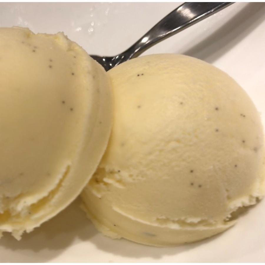 アイス スイーツ 濃厚 バニラアイスクリーム 1l 天狗paypayモール店 通販 Paypayモール