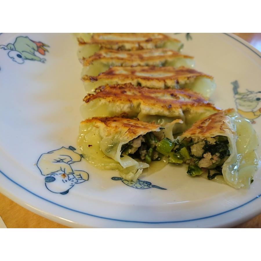 マツコの知らない世界 日本全国お取り寄せ餃子25選 餃子が美味しくなる焼き方 Beautiful World