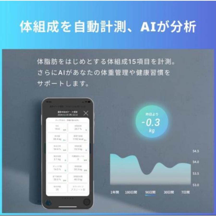 issin スマートバスマット 体組成計モデル グレー 体重管理珪藻土